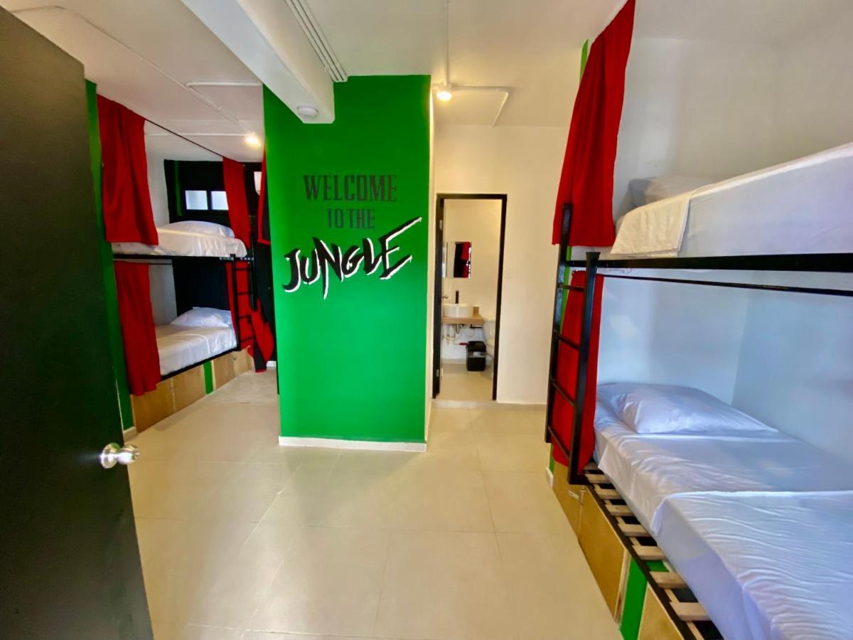 פלאייה דל כרמן Why Not Rooftop Party Hostel מראה חיצוני תמונה