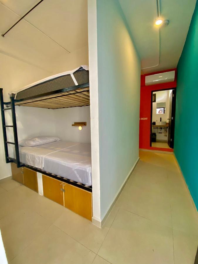 פלאייה דל כרמן Why Not Rooftop Party Hostel מראה חיצוני תמונה